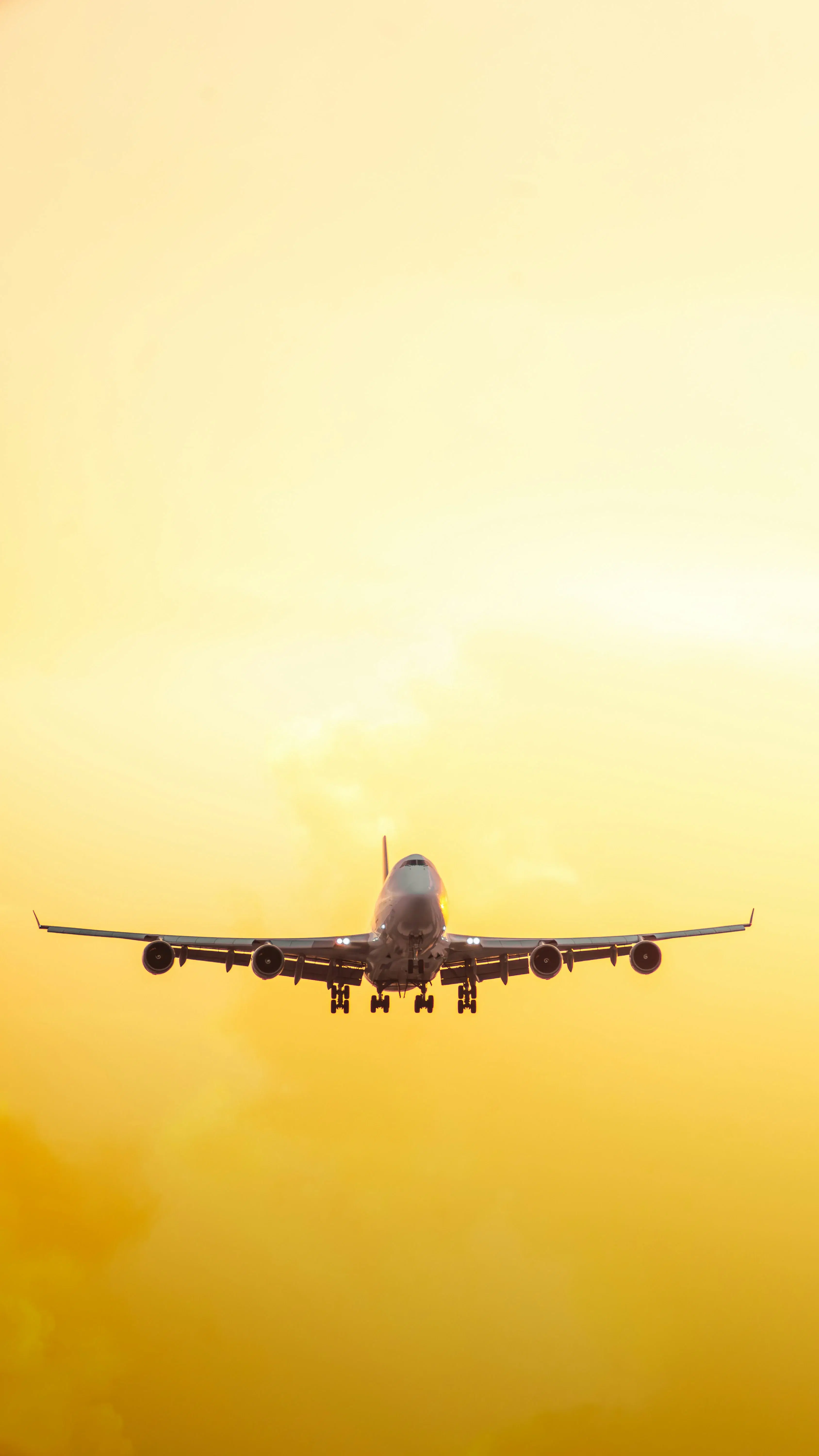Taking off to rise in the sky