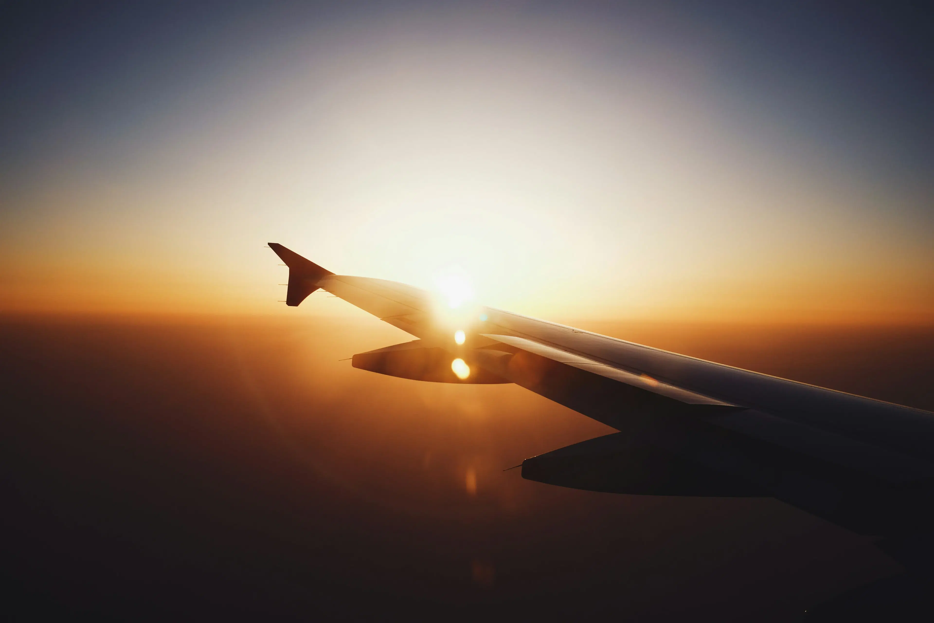 Flight in Motion